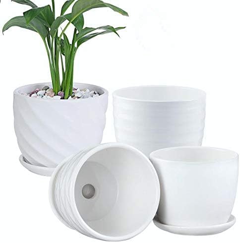 sietpoek Plant Pots - 5.5 Inch Cylinder Ceramic Planters with Connected Saucer, Pots for Succuelnt and Little Snake Plants, Set of 4, White