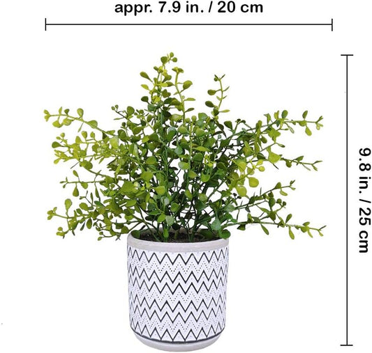 Winlyn 2 Pack Small Potted Eucalyptus Plant Artificial Plants Green Boxwood Rosemary Greenery in Modern Concrete Plant Pots