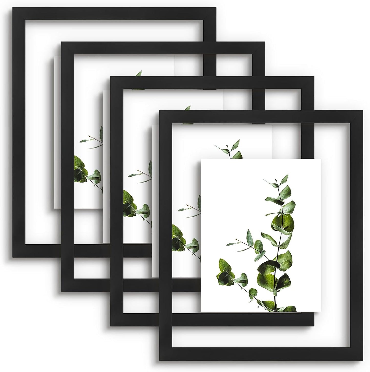 Golden State Art, 11X14 Floating Picture Frame, Black Wood Frame Display Any Size Photo Up To 11X14, Pressed Flower Frames with Hanging Hardware - Horizontal And Vertical Formats for Wall