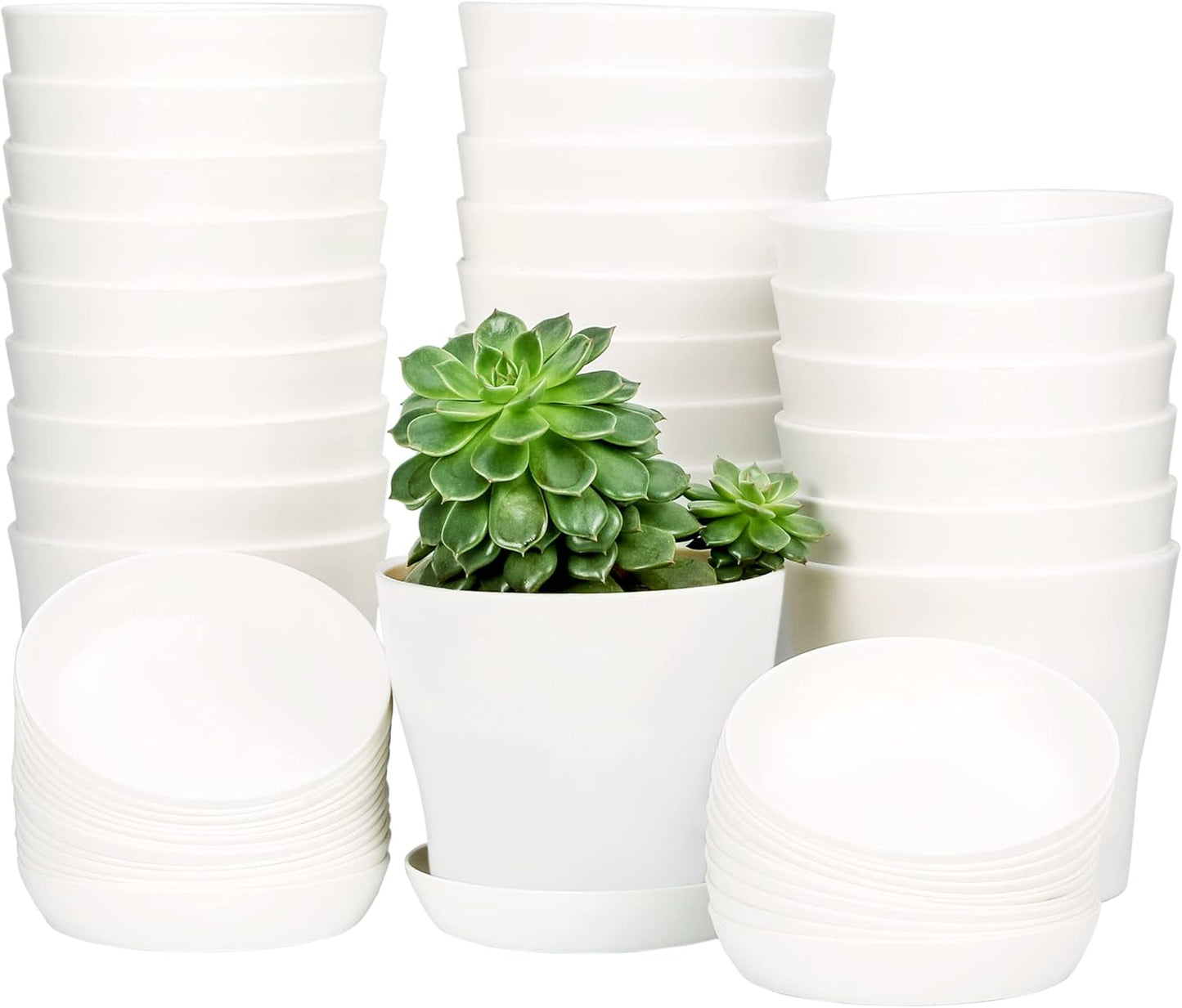 TDHDIKE 10 Pcs Plastic Planters Indoor Pots, Mini Flower Seedlings Nursery Flower Pot with Pallet, Modern Decorative Gardening Containers