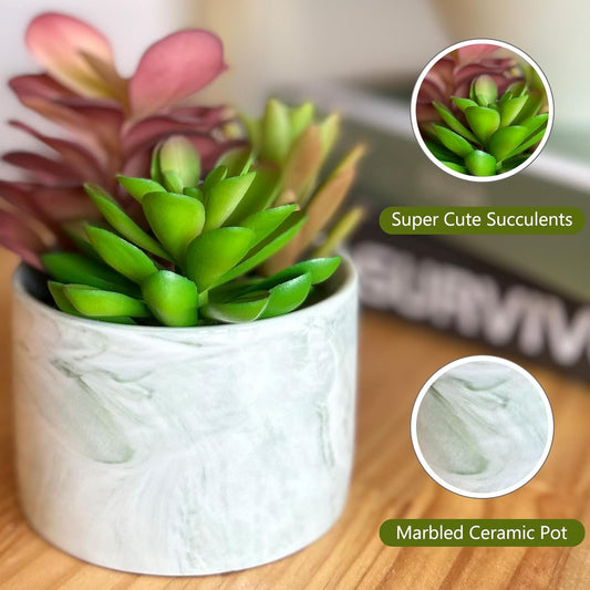 Artificial Plants Succulent Flowers in Ceramic Planter 2 Pack Small Fake Plants Potted for Home Office Desk Decor Farmhouse Living Room Bedroom Shelves Decoration