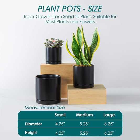 vancasso Ceramic Plant Pots, 3 Piece Planters for Indoor Plants, 4.25+5.25+6.25 Inch Flower Pots with Drainage, Plant Pots Indoor for Succulent, Pothos, Snake Plant and Money Tree, Etc (White)