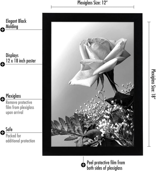 Americanflat 16x20 Picture Frame with Polished Plexiglass - Black Picture Frame - Wide Photo Frames Made of Engineered Wood for Vertical or Horizontal Wall Display - Epic Collection - Black - Colors B