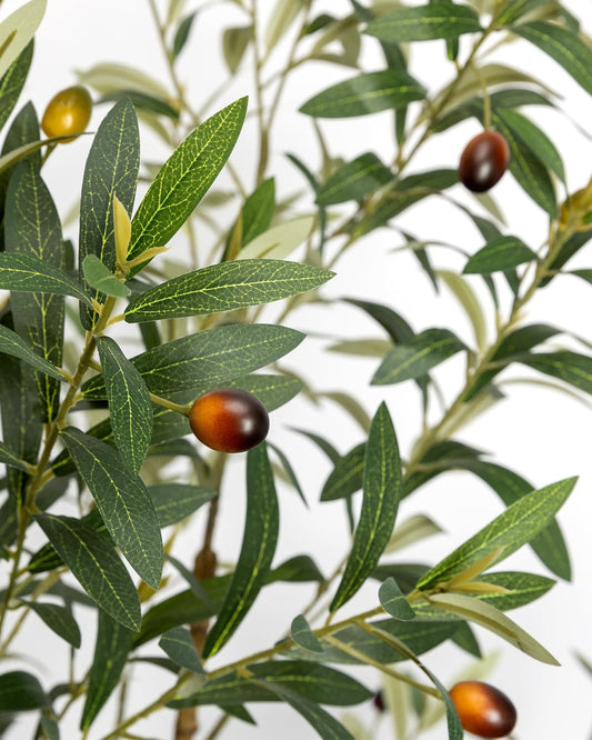 Artificial Olive Tree 6FT - Tall Faux Olive Trees Indoor with Planter&Cotton Basket, Large Fake Olive Plants Realistic Branches Natural Wood Trunk and Fruits for Home House Office Decor