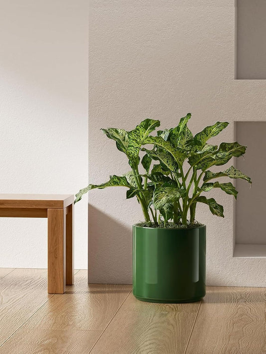 LE TAUCI 12 Inch Pot for Plants, Ceramic Planters for Indoor Plants, Mid-Century Modern Cylinder Flower Pots with Drainage Hole, Fits Fiddle Leaf Fig & Monstera, Home Decor, White