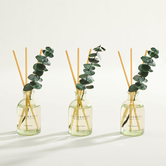 COCORRÍNA Eucalyptus Reed Diffuser Set of 3 - Lavender Eucalyptus, Black Forest, Clean Cotton Scents, 1.7 fl oz Each, Total 5.1 oz, Scented Oil Diffusers for Home & Office
