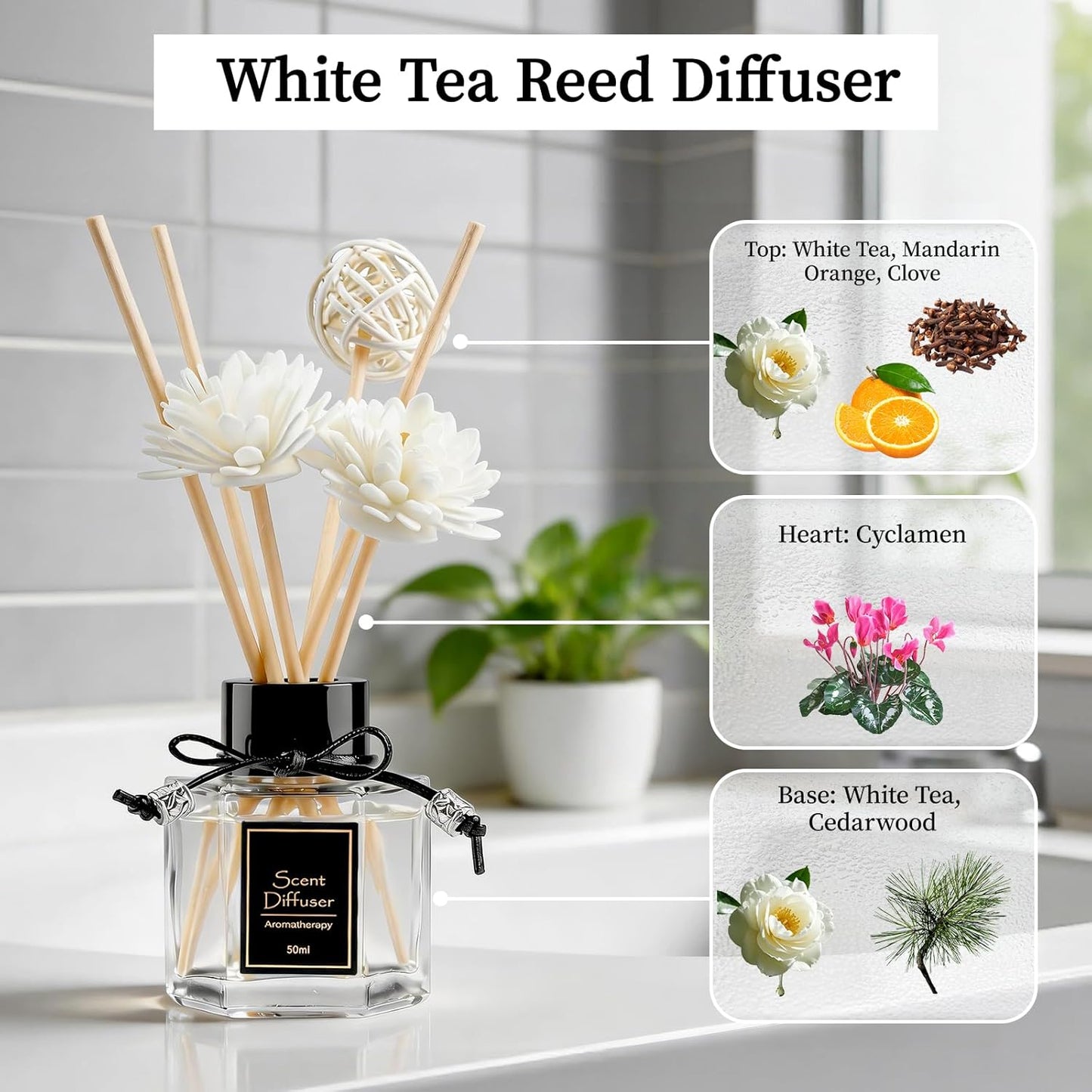 TonJin 2PCS Jasmine Reed Diffuser Set 1.7 fl oz with 6 Scent Sticks, Exotic Floral Home Fragrance, Natural Scented Oil Sticks for Bathroom, Living Room & Bedroom | Non-Toxic Air Freshener