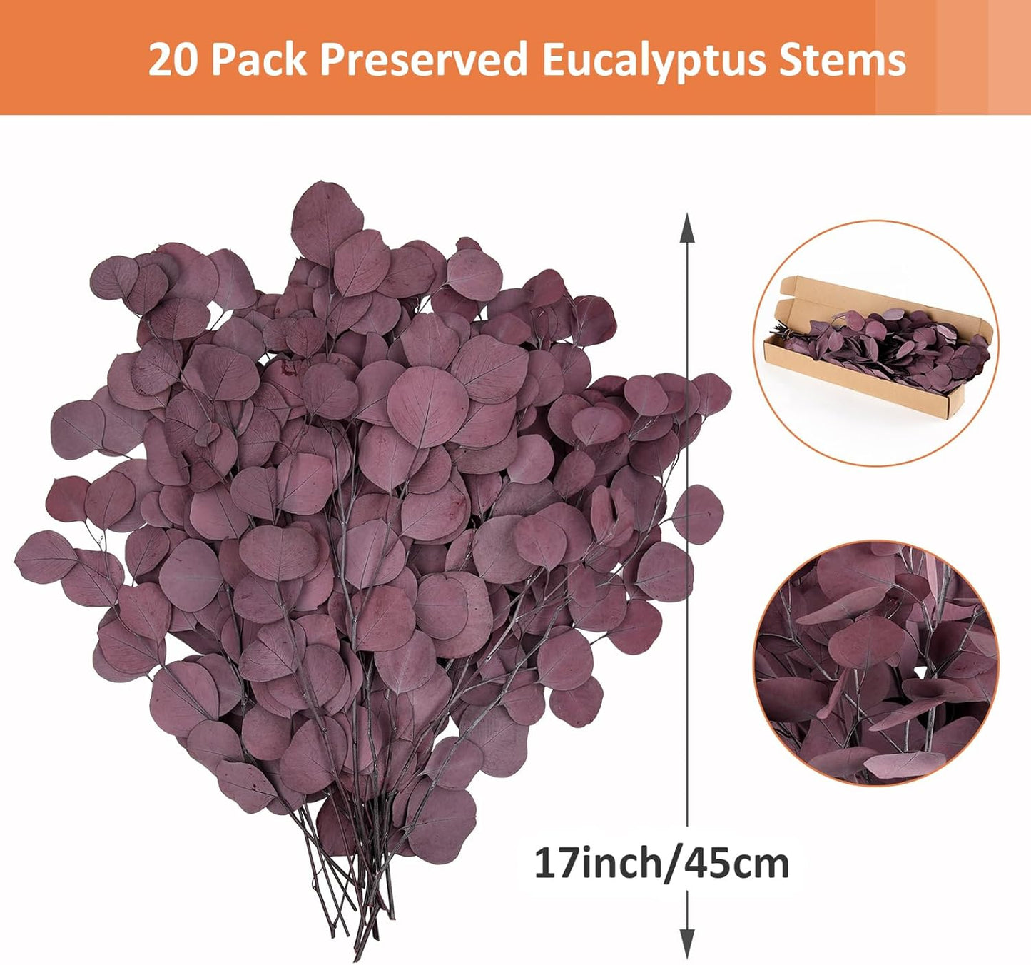 Real Eucalyptus Stems 20PCS Dried Preserved Fresh Eucalyptus Silver Dollar Leaves for Shower - Greenery Branches for Wedding Home Party Vase Filler Spring Decor