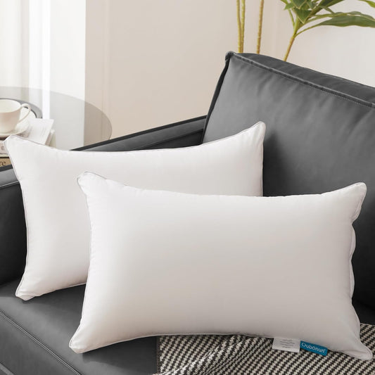 Oubonun 18"x18" Pillow Inserts (Set of 2) - Throw Pillow Inserts with 100% Cotton Cover - 18 Inch Square Interior Sofa Pillow Inserts - Decorative Pillow Insert Pair - White Couch Pillow