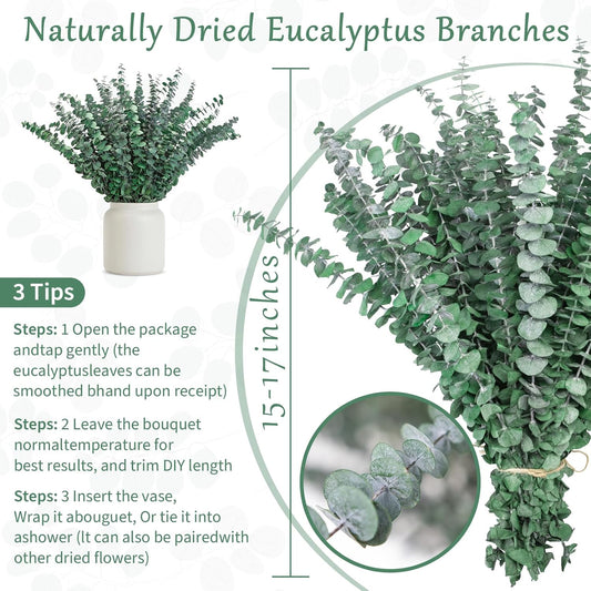 50 Pcs Preserved Eucalyptus Stems, 17 Inch Real Dried Eucalyptus Branches for Shower, Vase Arrangements, Home Decor, Wedding, Bathroom