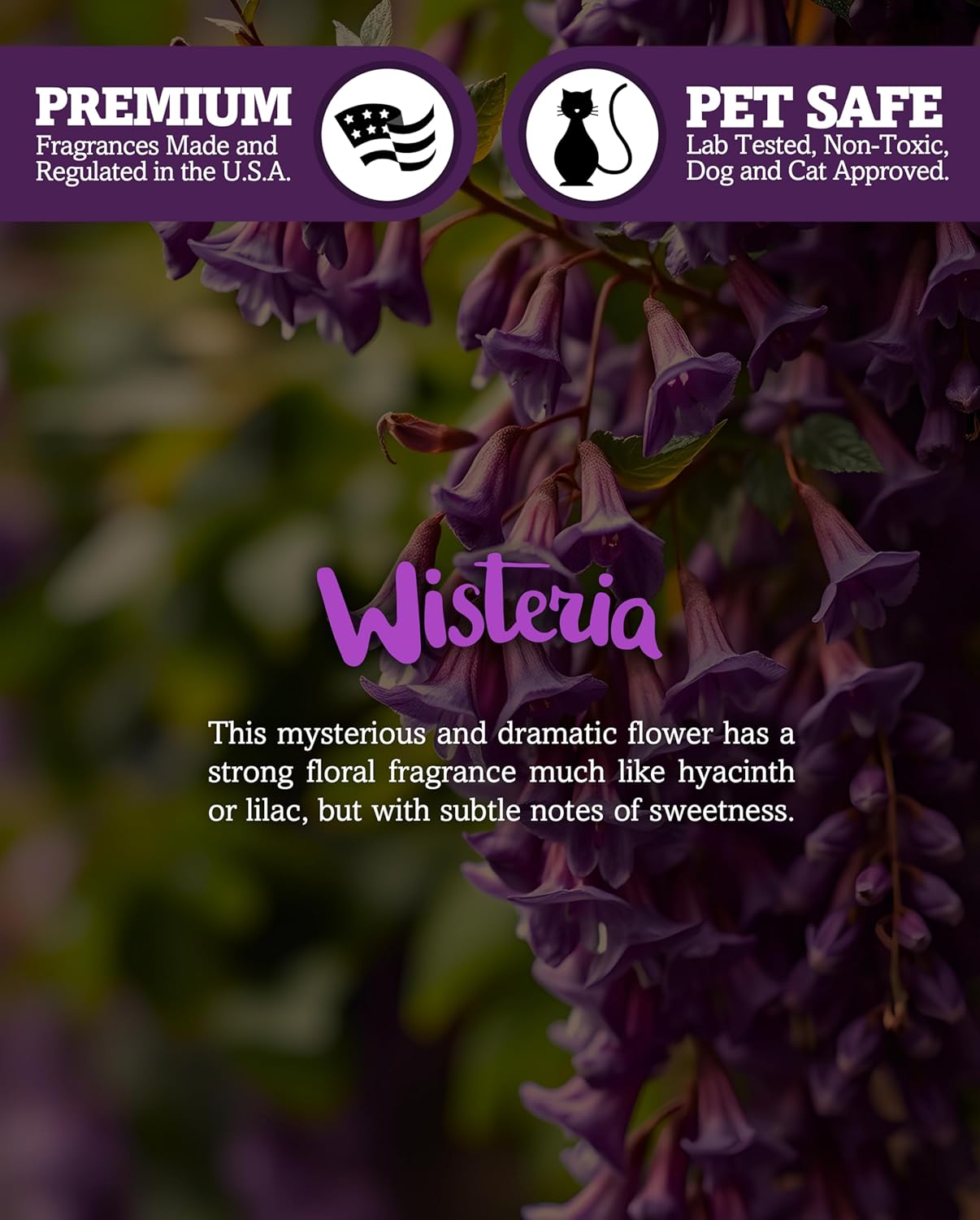 Pure English Lavender Premium Tealight Candles - Highly Scented with Essential & Natural Oils - 6 Purple Tea Lights - Beautiful Candlelight - Made in the USA - Flower & Floral Collection