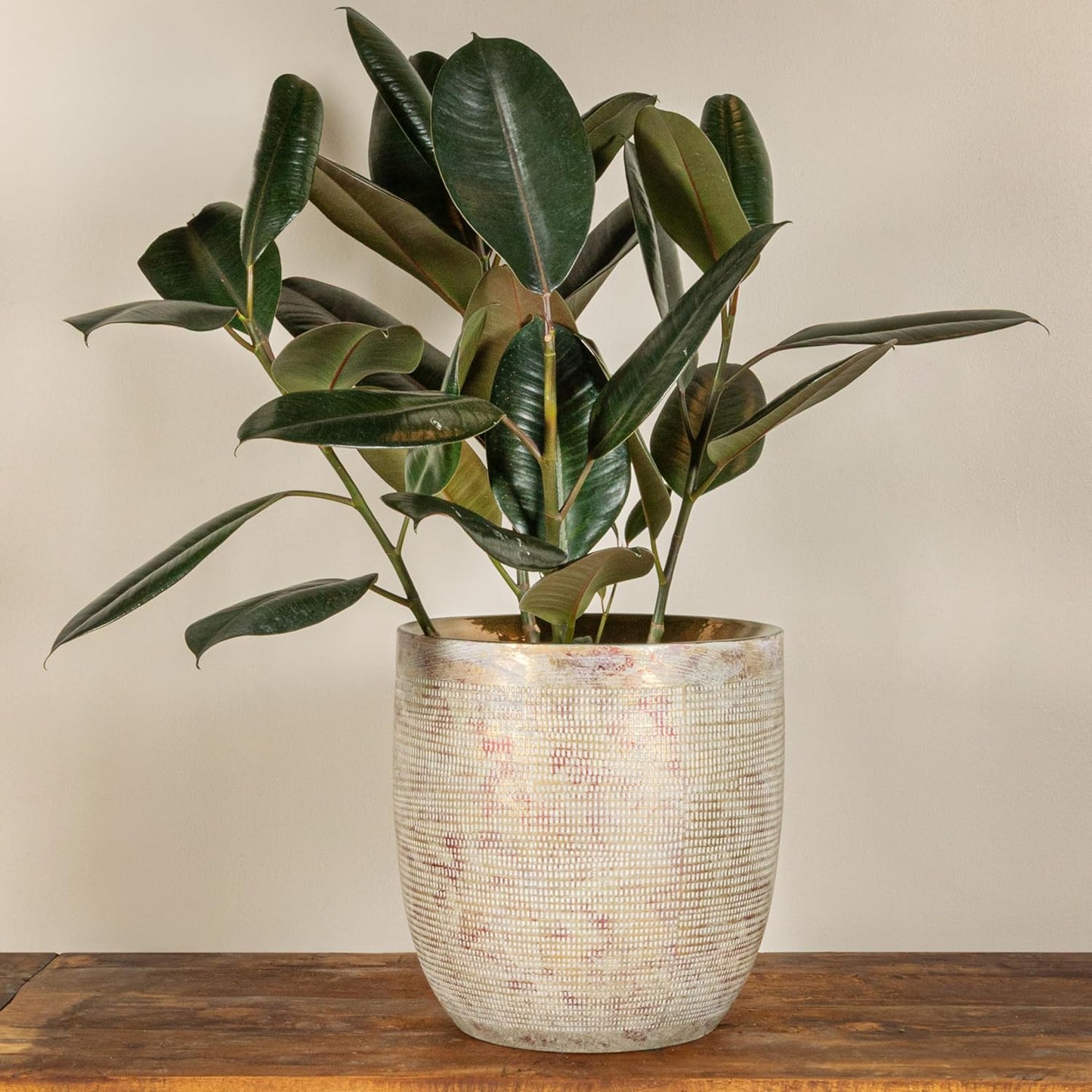 Creative Co-Op Large Matte White Embossed Stoneware Planter
