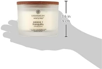 Chesapeake Bay Candle PT40886 Scented Candle Awaken + Invigorate (Lemongrass Eucalyptus) Medium Green Home Décor