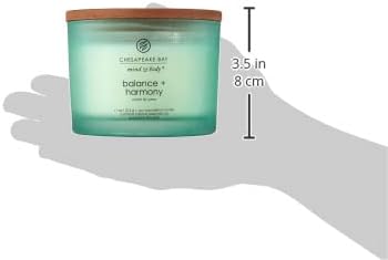Chesapeake Bay Candle PT40886 Scented Candle Awaken + Invigorate (Lemongrass Eucalyptus) Medium Green Home Décor
