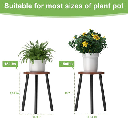 3-Pack Wood Plant Stands Indoor, Single Plant Stand for 6-12 Inch Pots, Mid-Century Modern Plant Stool, Tall Plant Stand for Large Plants Perfect Fit for Living Room, Balcony, Office
