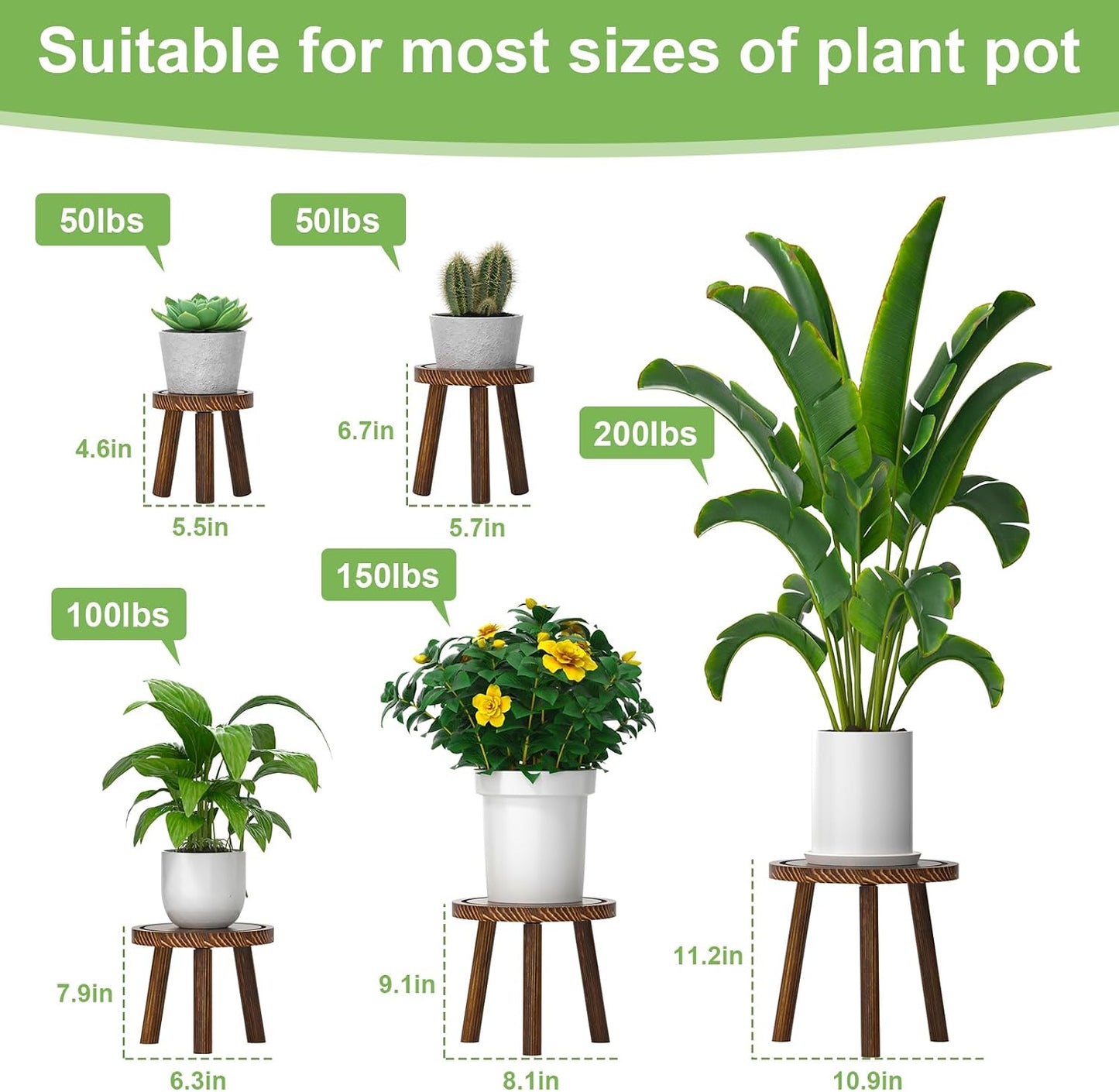 3-Pack Wood Plant Stands Indoor, Single Plant Stand for 6-12 Inch Pots, Mid-Century Modern Plant Stool, Tall Plant Stand for Large Plants Perfect Fit for Living Room, Balcony, Office