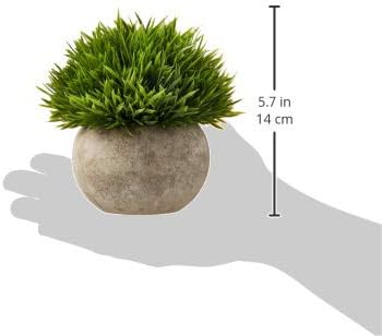 Ogrmar Mini Plastic Faux Plants in Pot/Small Topiary Shrubs Fake Greenery for Bathroom, House Decorations (Green Grass)