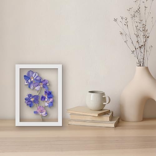 Americanflat 8x10 Floating Picture Frame with Polished Crystal-Clear Glass - Use as 5x7 Picture Frame or Display 4x6 Photo - Signature Float Collection - Photo Frames for Tabletop or Wall - Black