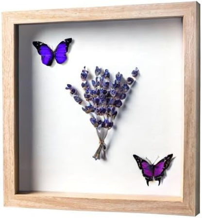 FrameWorks 11” x 14” Dark Oak Wooden Shadow Box Frame – Display Case with Soft Felt Back, Memory Box with Tempered Glass, Display Box with Elegant White Ball Push Pins, Wooden Flower Box