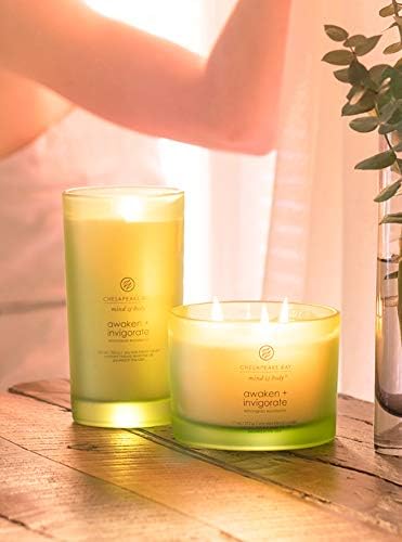 Chesapeake Bay Candle PT40886 Scented Candle Awaken + Invigorate (Lemongrass Eucalyptus) Medium Green Home Décor