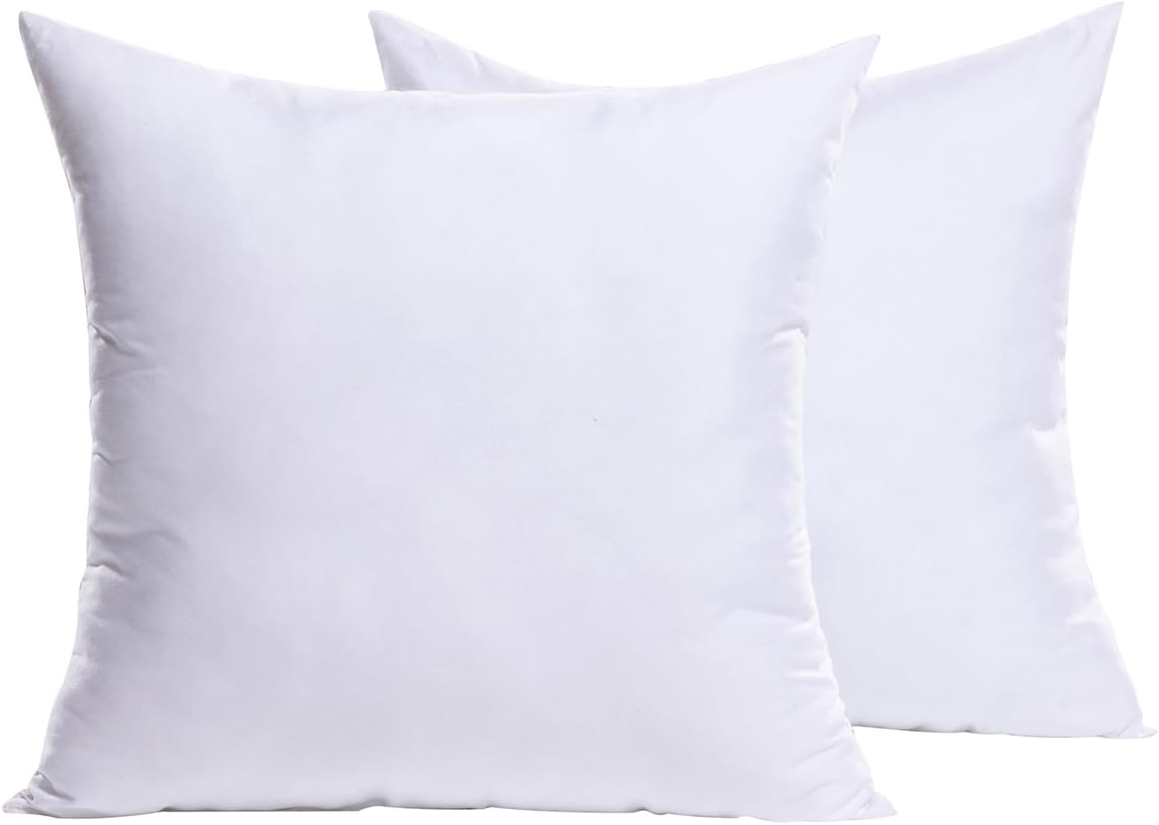 MIULEE 12x20 Pillow Inserts Set of 2, Rectangle Decorative Throw Pillow Premium Fluffy Lumbar Pillow Forms Stuffer for Living Room Sofa Couch Bed