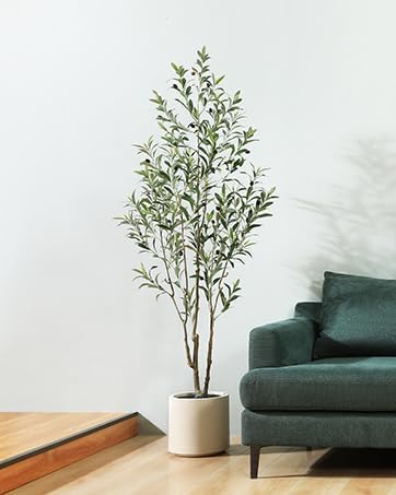 LOMANTO Artificial Olive Trees, 5 ft Tall Fake Olive Trees for Indoor, Faux Olive Silk Tree, Large Olive Plants with White Planter for Home Decor and Housewarming Gift, 1 Pack