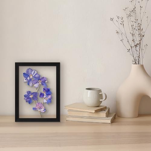 Americanflat 8.5x11 Floating Picture Frame with Polished Crystal-Clear Glass - Set of 2 - Use as 5x7 Frame or Display 4x6 Photo - Signature Float Collection - Photo Frames for Wall Display - Black