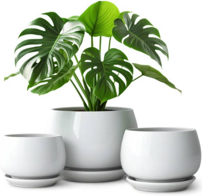 vancasso 3-Pack Ceramic Plant Pots, 3.7/4.8/6.2 Inch Indoor Planters with Saucers & Drainage Hole Planter pots for Indoor Plants and Flower, White