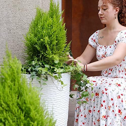 Worth 9 Gallon Tall Round Planters Set of 2-14" Dia x 21" H Stone Finish Flower Pots Indoor Decorative Container Garden Patio Unbreakable Beige