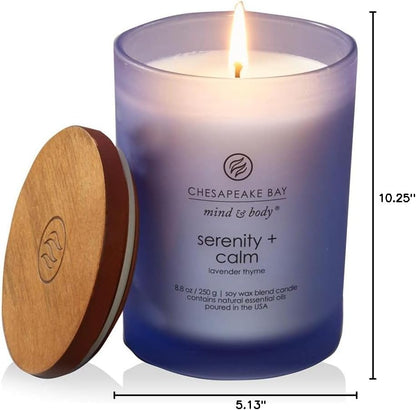 Chesapeake Bay Candle PT40886 Scented Candle Awaken + Invigorate (Lemongrass Eucalyptus) Medium Green Home Décor