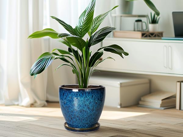 10 Inch Ceramic Planter Pot Round Plant Pot for Indoor Plants Outdoor Large Flower Pot with Drainage Hole and Saucer Blue