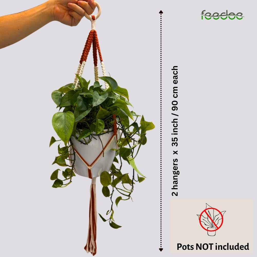feedee Macrame Plant Hangers Indoor Macrame Hanging Planters for Indoor Plants, 6 Pack Hanging Plant Holders Indoor Hanging, Macromay Plant Hangers for Indoor Plant Hanger, Outdoor Flower Pots Holder