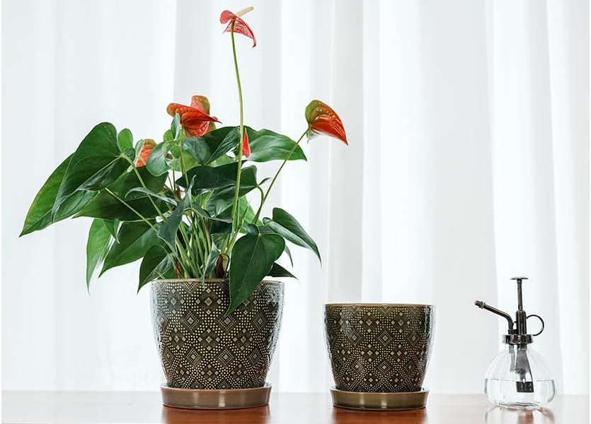 Docrin 3-Pack Ceramic Planters Set - 6.5"+5.3"+4" Dual-Tone Flower Pots with Drainage Holes, Modern Indoor Outdoor Planters for Succulents/Herbs/Large Plants, Home Office (Brownish Black & White)