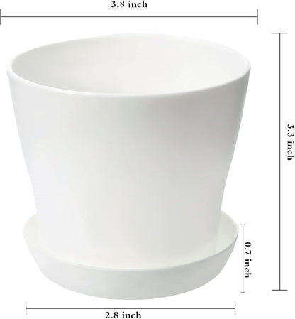 TDHDIKE 10 Pcs Plastic Planters Indoor Pots, Mini Flower Seedlings Nursery Flower Pot with Pallet, Modern Decorative Gardening Containers