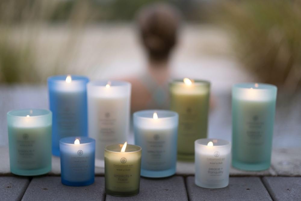 Chesapeake Bay Candle PT40886 Scented Candle Awaken + Invigorate (Lemongrass Eucalyptus) Medium Green Home Décor