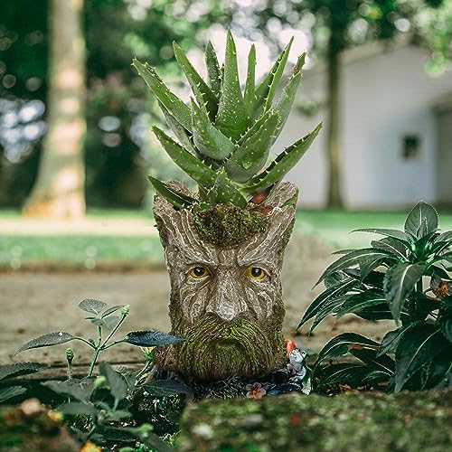 vomiceak Face Planter Pots Head, Planters for Indoor Plants - Double Cute Plant Pots for Flower & Succulent with Drainage Holes - Gift Ideas for Women (White Lady)