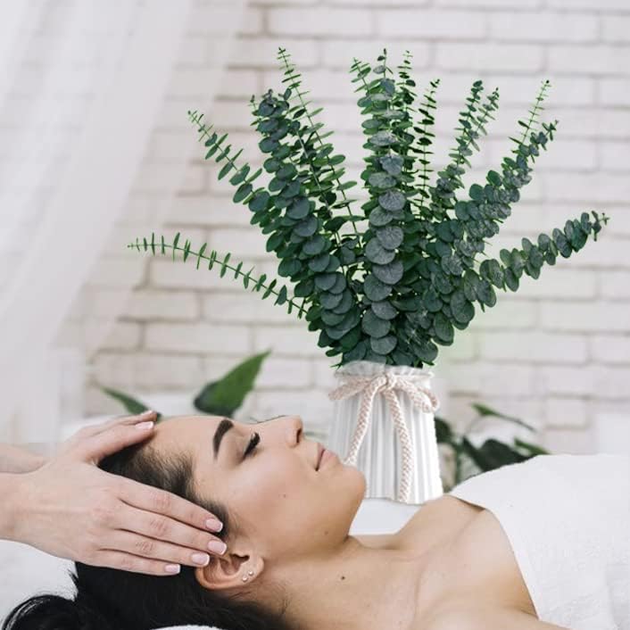 30 Pcs Dried Preserved Eucalyptus Stems Shower Bundle, 9oz 17" 100% Natural Fresh Eucalyptus Plant, Real Eucalyptus Leaves Branches for Shower Vase Filler, Dried Flowers Arrangement Home Decor