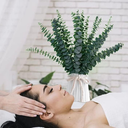 30 Pcs Dried Preserved Eucalyptus Stems Shower Bundle, 9oz 17" 100% Natural Fresh Eucalyptus Plant, Real Eucalyptus Leaves Branches for Shower Vase Filler, Dried Flowers Arrangement Home Decor