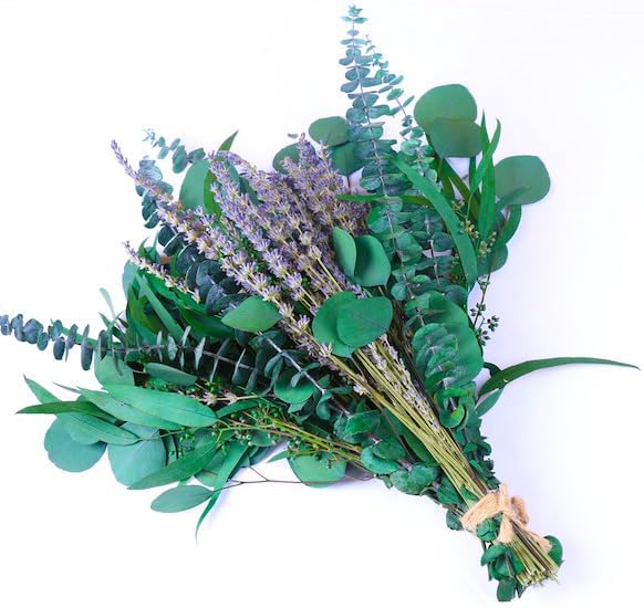 52 PCS Mix Dried Eucalyptus & Lavender Flowers Bundles for Shower, 17'' Natural Real Hanging Silver Dollar Eucalyptus Leaves Stems, Fragrance Fresh Plants Home Bathroom Decor (52pcs)