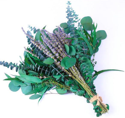 52 PCS Mix Dried Eucalyptus & Lavender Flowers Bundles for Shower, 17'' Natural Real Hanging Silver Dollar Eucalyptus Leaves Stems, Fragrance Fresh Plants Home Bathroom Decor (52pcs)