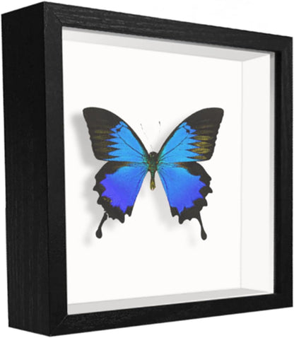 8x8 Shadow Box Frame Display Case with Letter Stickers, 3D Picture Frame, Display Case Box for Memorabilia, Baby Items, Wedding Memories, Crafts, Tickets and Photos (White, 8x8)