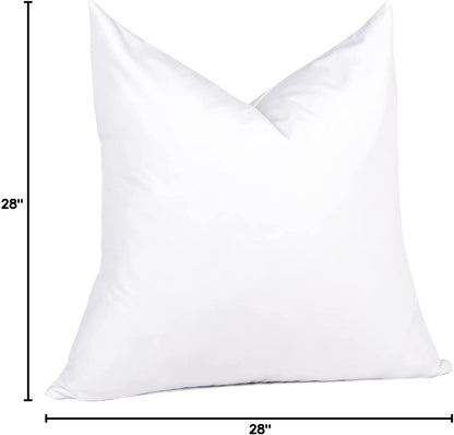 puredown® Euro Pillow Inserts 24 x 24 (Pack of 2, White), Feather Down Pillow Stuffer, White Throw Pillows for Bed, Couch, and Cushion