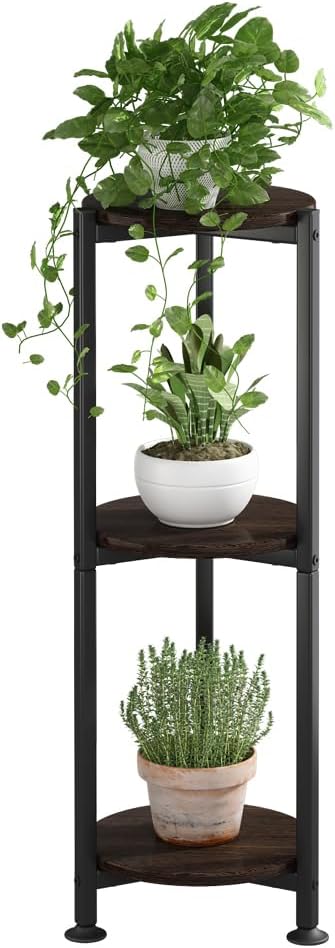 Plant Stand Indoor Corner Tall 2 Tier Metal Modern Flower Storage Plant Shelf Holder for Living Room Balcony Garden,Black (2 Tier-Black Round)