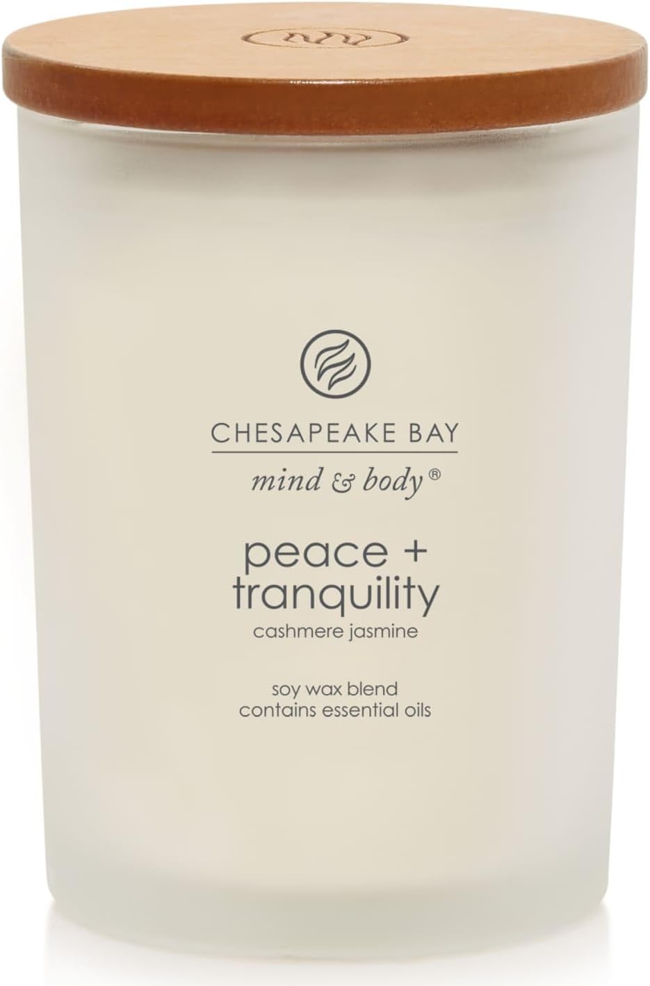 Chesapeake Bay Candle PT40886 Scented Candle Awaken + Invigorate (Lemongrass Eucalyptus) Medium Green Home Décor