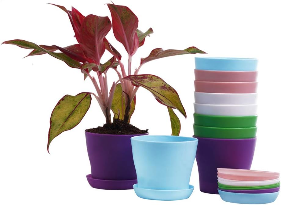 TDHDIKE 10 Pcs Plastic Planters Indoor Pots, Mini Flower Seedlings Nursery Flower Pot with Pallet, Modern Decorative Gardening Containers