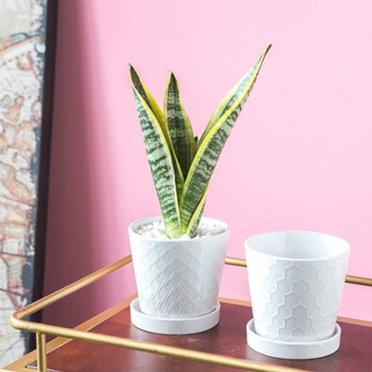 BUYMAX Plant Pots Indoor –5 inch Ceramic Flower Pot with Drainage Hole and Ceramic Tray - Gardening Home Desktop Office Windowsill Decoration Gift, Set of 4-Plants NOT Included (Patina)