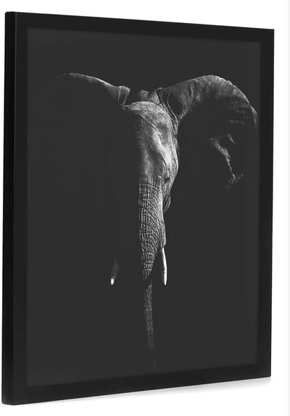 Americanflat 16x20 Picture Frame with Polished Plexiglass - Black Picture Frame - Wide Photo Frames Made of Engineered Wood for Vertical or Horizontal Wall Display - Epic Collection - Black - Colors C