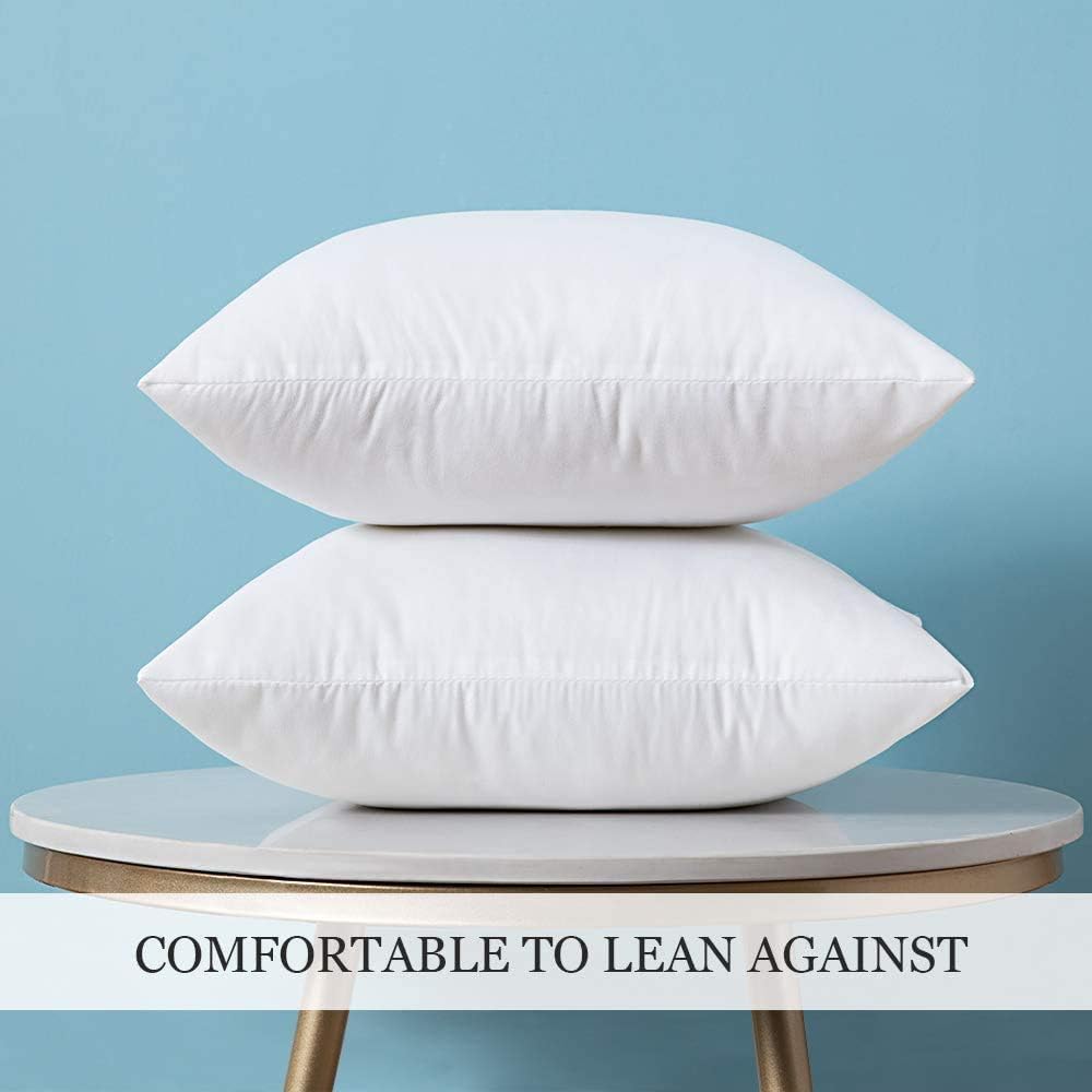 MIULEE 12x20 Pillow Inserts Set of 2, Rectangle Decorative Throw Pillow Premium Fluffy Lumbar Pillow Forms Stuffer for Living Room Sofa Couch Bed