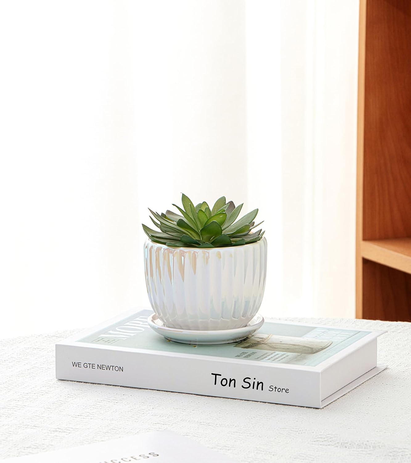 Ton Sin Pink Gold Ceramic Flower Pots, 4"+5"+6" Inch Small Glazed Succulent Planters with Drainage Hole,Modern Indoor Decorative Plant Pots Set of 3,Garden Pots with Saucer