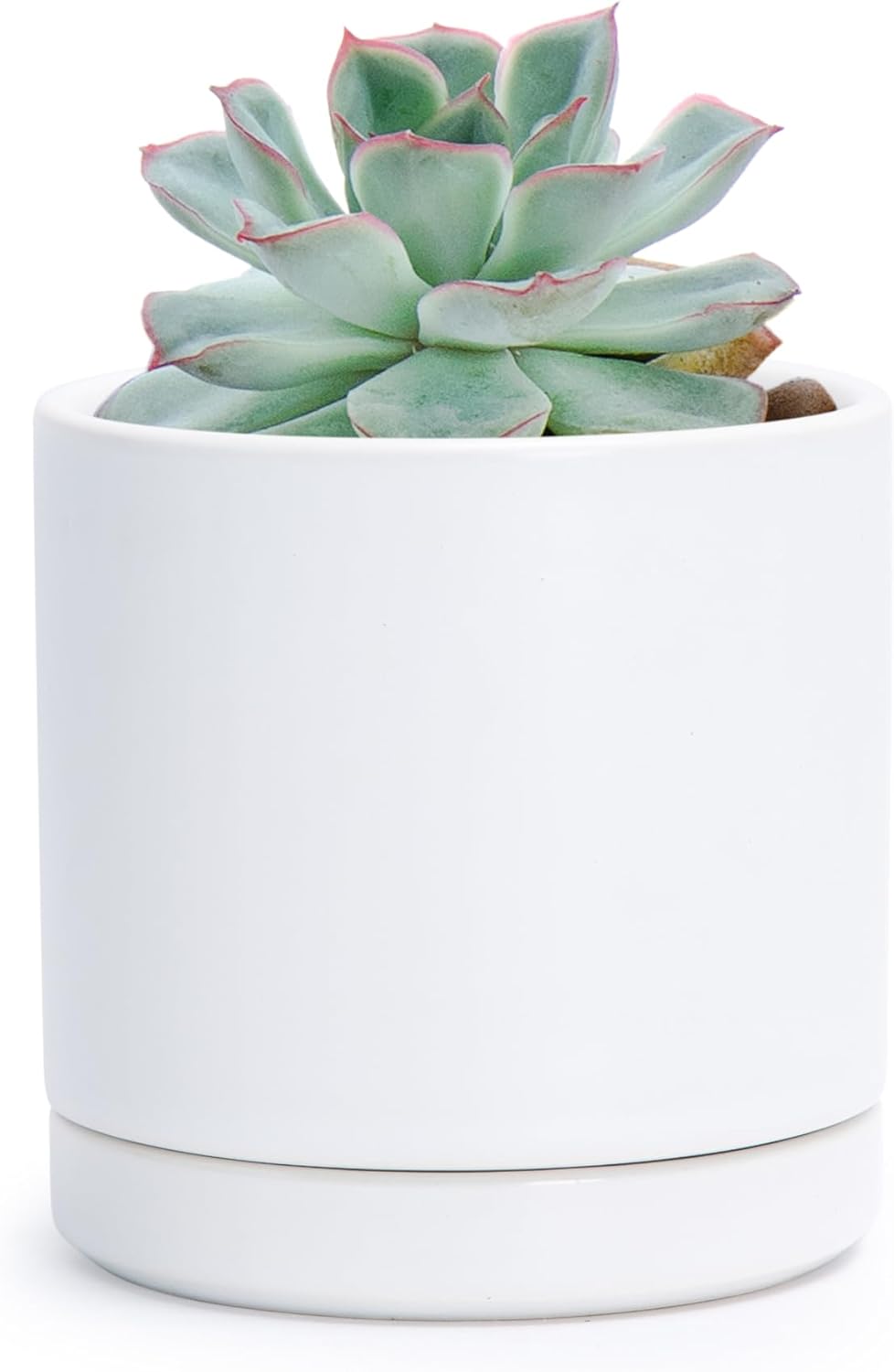 D'vine Dev 6.5 Inch Ceramic Planter Pot with Drainage Hole and Saucer, Indoor Cylinder Round Planter Pot, Olive, 94-O-C-J